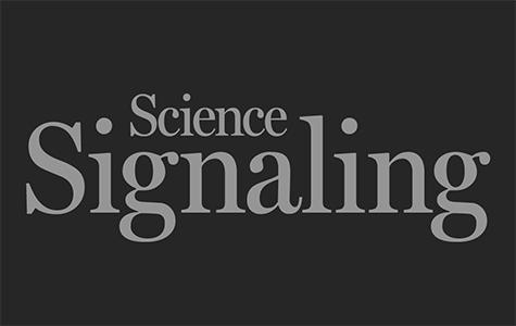 Logo for the scientific journal Science Signaling