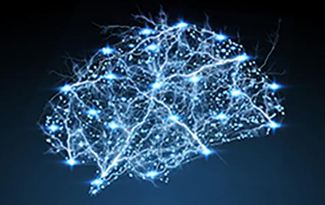 Illustration of neuronal networks