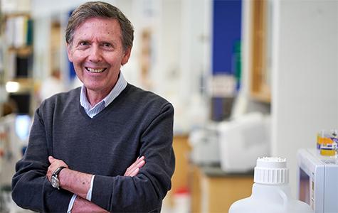 Arnold Kriegstein, MD, PhD, in his lab in the UCSF STEM Cell Building.