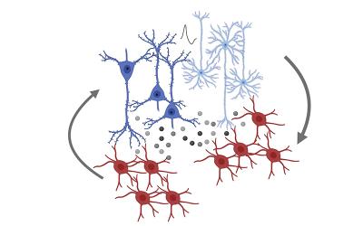 Cartoon illustration depicting the crosstalk between neurons and glioma cells